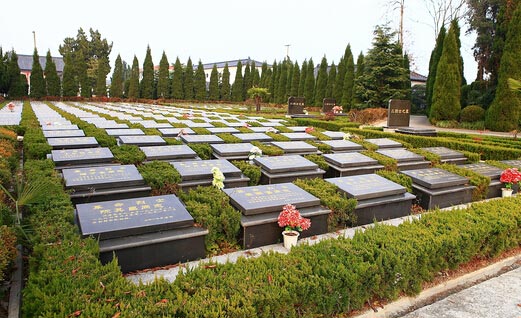 ُ�I�Ϻ�Ĺ�ؗl������Щ��