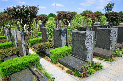 ���Mһ������X�������M�˜���ʲô��